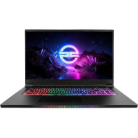 PCSPECIALIST Ionico RT17 17.3′ Gaming Laptop – Intel® Core™ i7, RTX 3060, 1 TB SSD