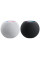 APPLE HomePod Mini Twin Pack – White & Space Grey