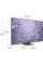 SAMSUNG QE65QN800CTXXU 65′ Smart 8K TV & The Freestyle SP-LSP3BLAXXU Smart TV Projector Bundle
