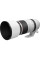 CANON RF 100-500 mm f/4.5-7.1L IS USM Telephoto Zoom Lens