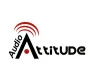 Attitude